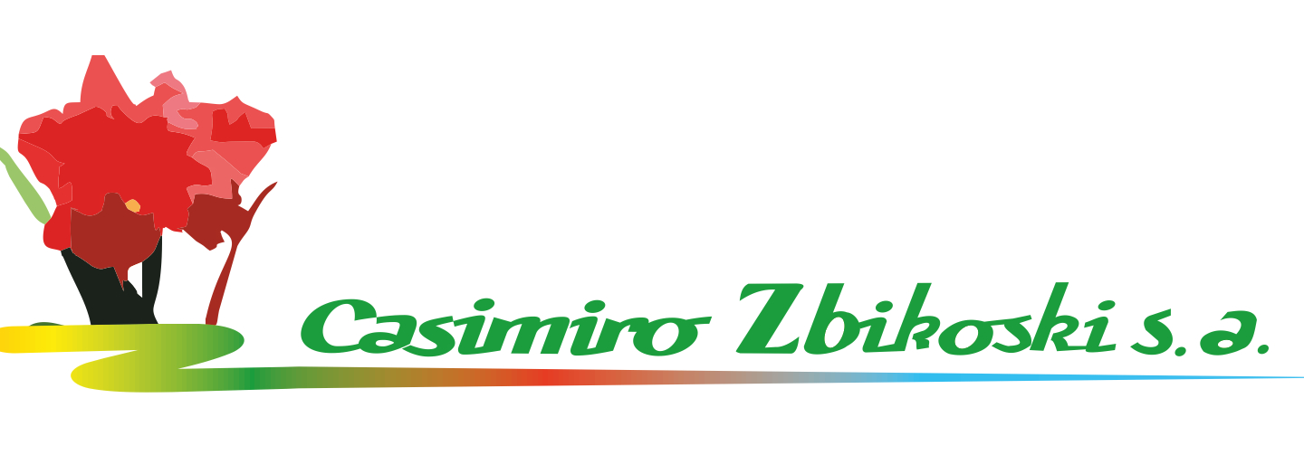 Cliente 9